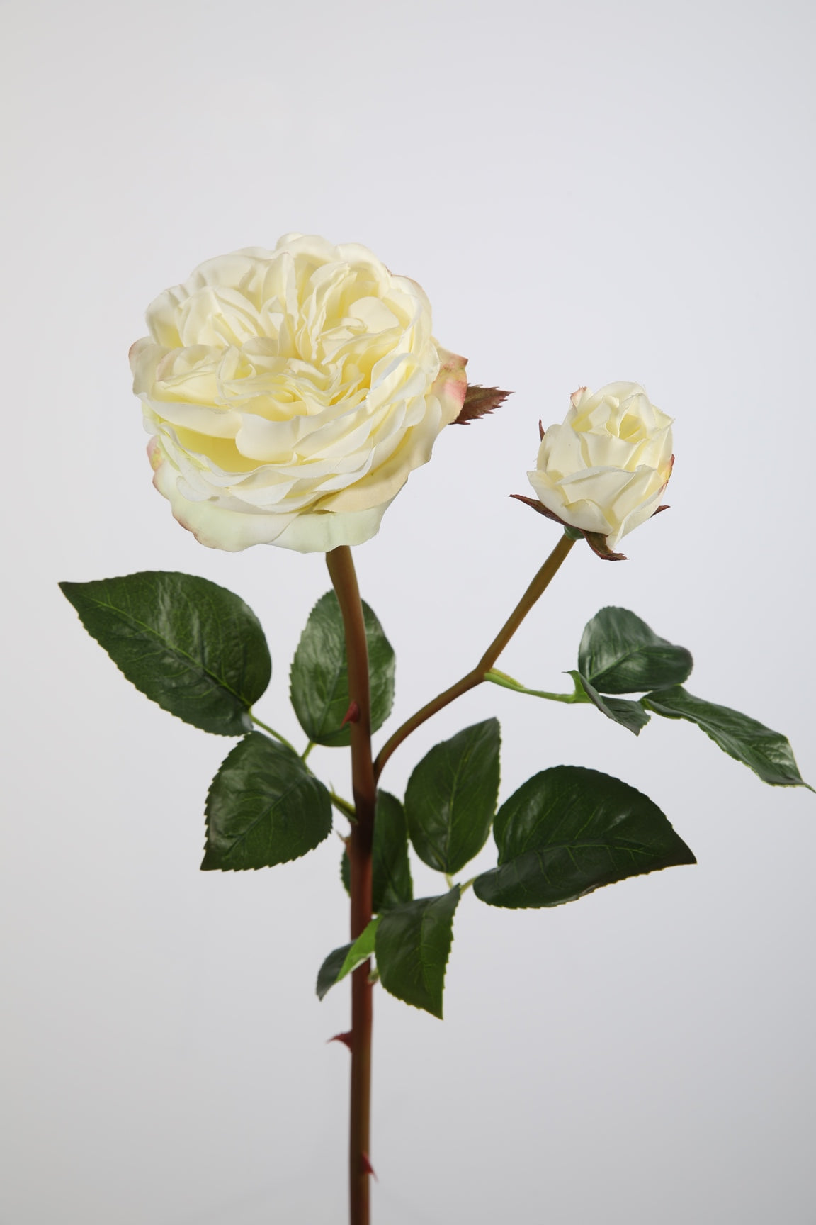 Rose Garden crème