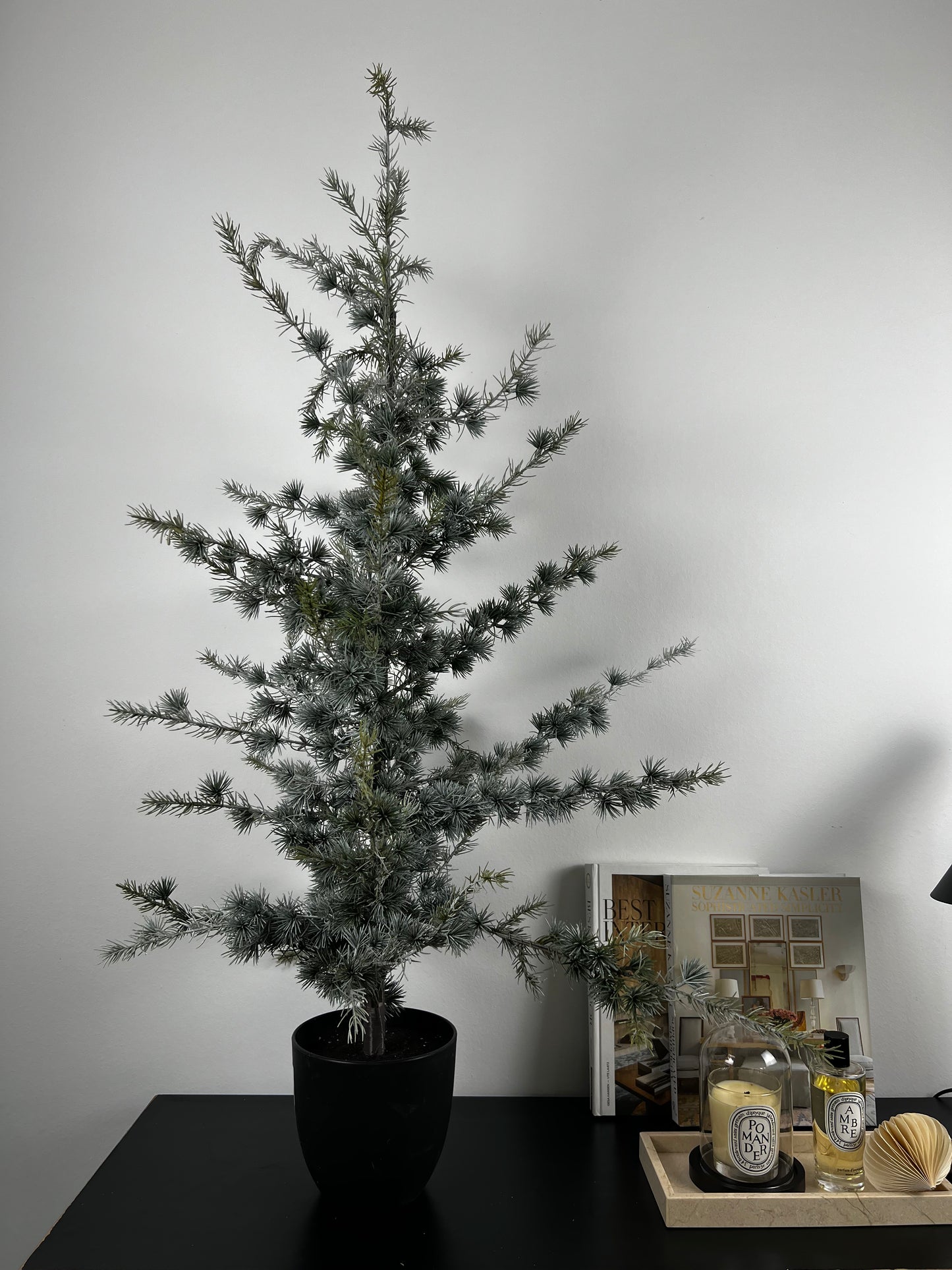 Zedernbaum