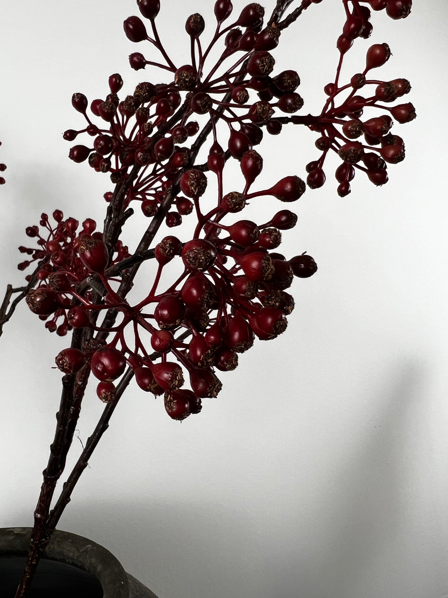 Crimson Glow