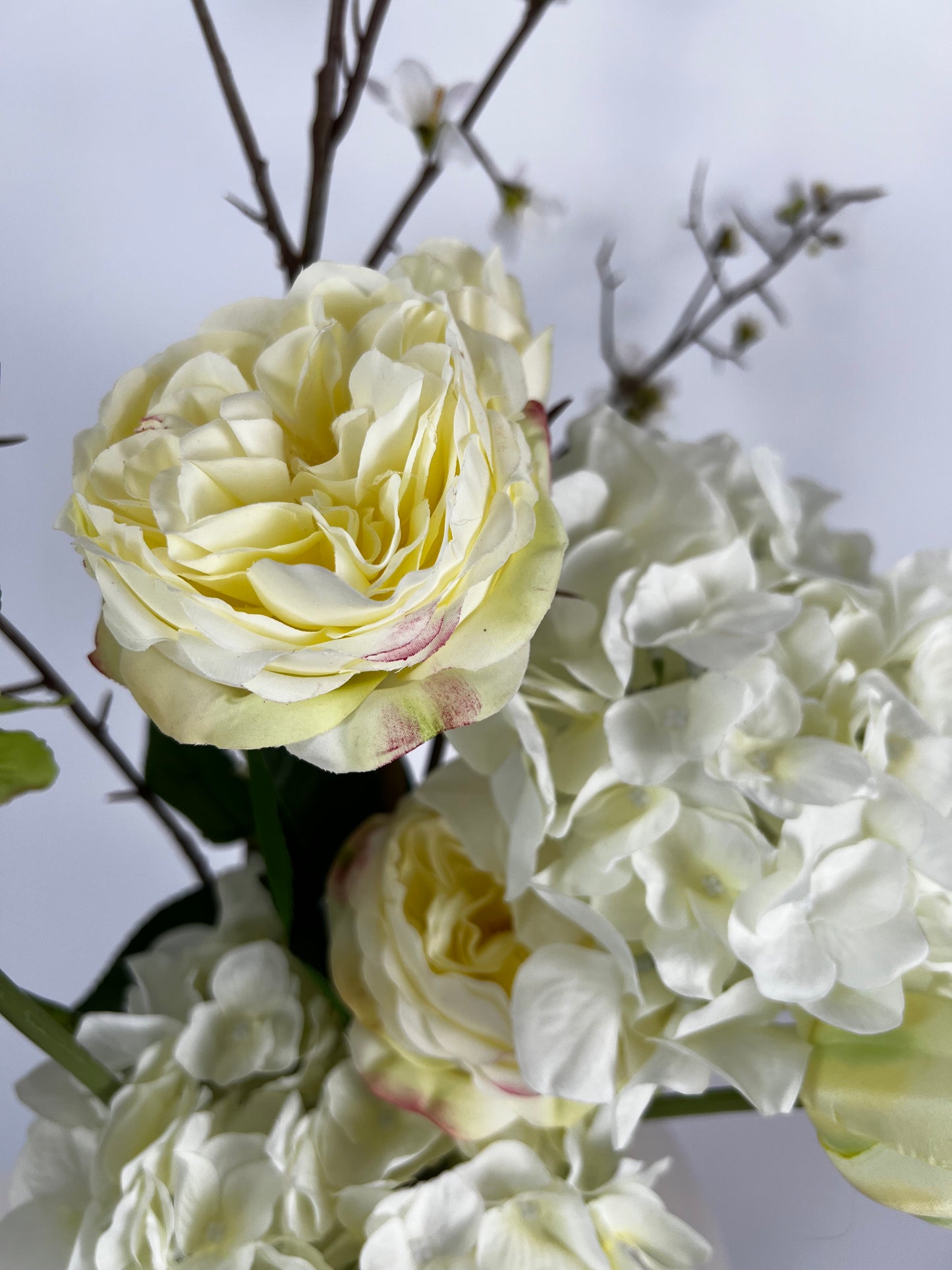 Rose Garden crème