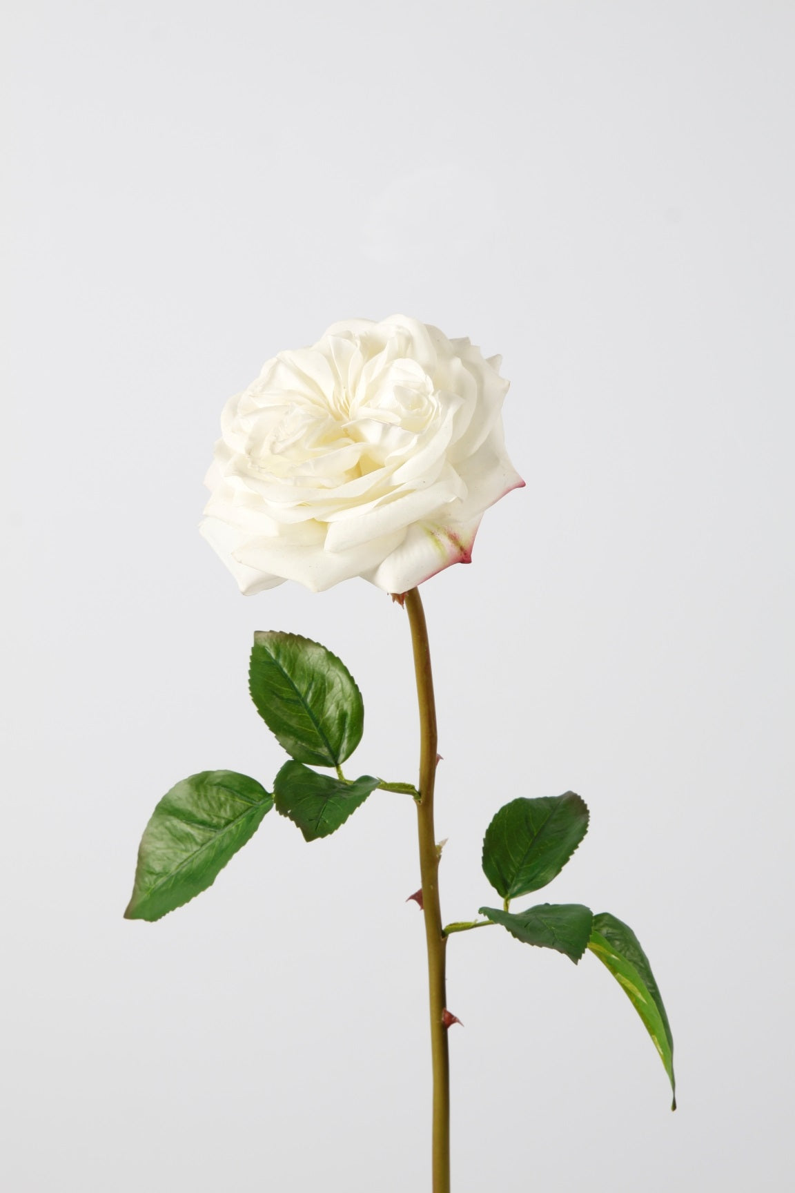 Rose Realtouch weiß