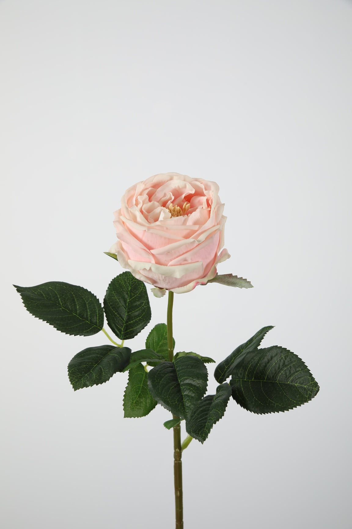 Rose Realtouch rosé