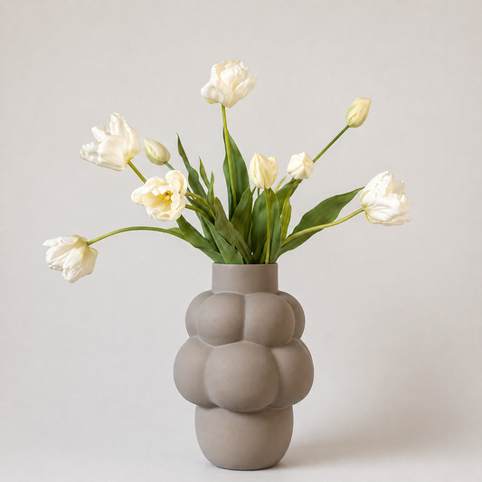 Creamy Tulipa