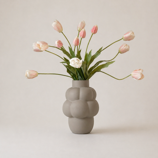 Rosy Tulipa