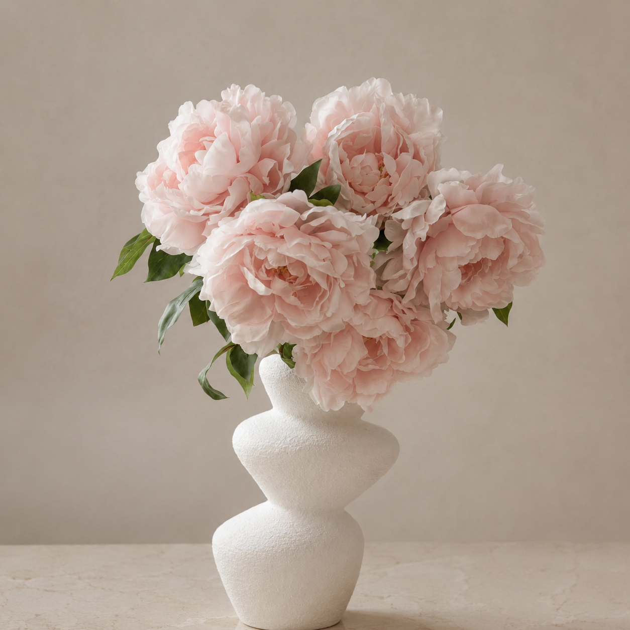Powder Peony