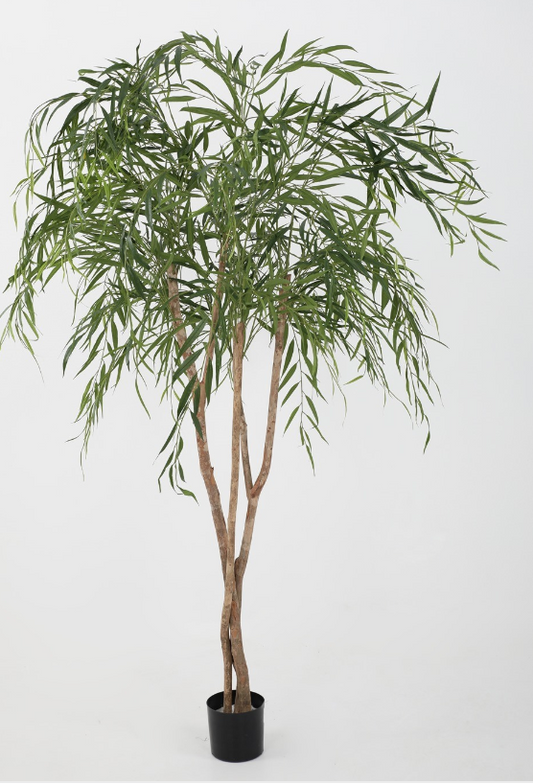 Willow Tree 200cm