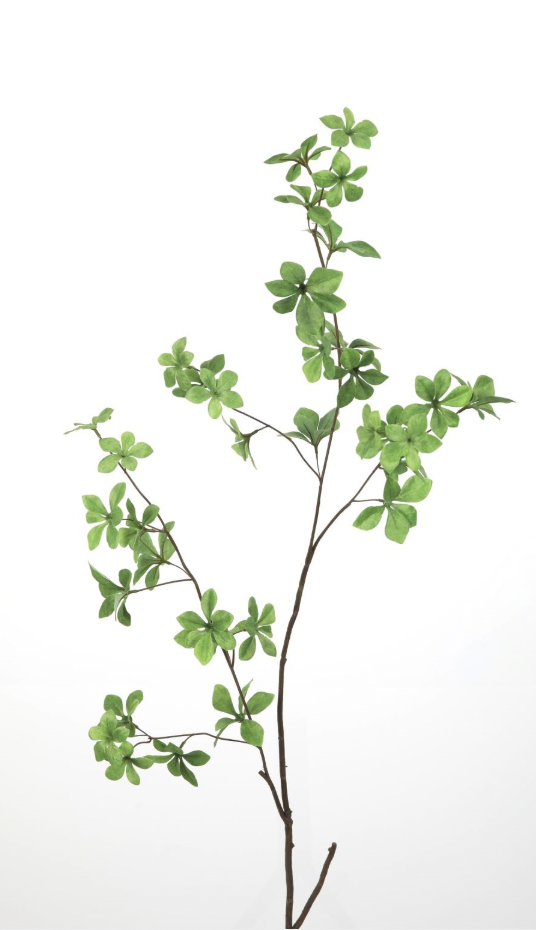 Soft Meadow Branch