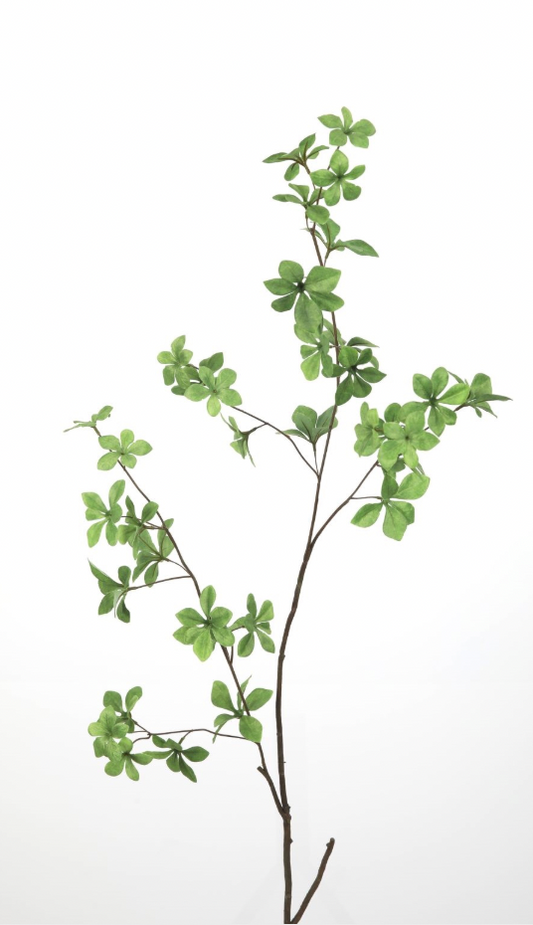 Soft Meadow Branch